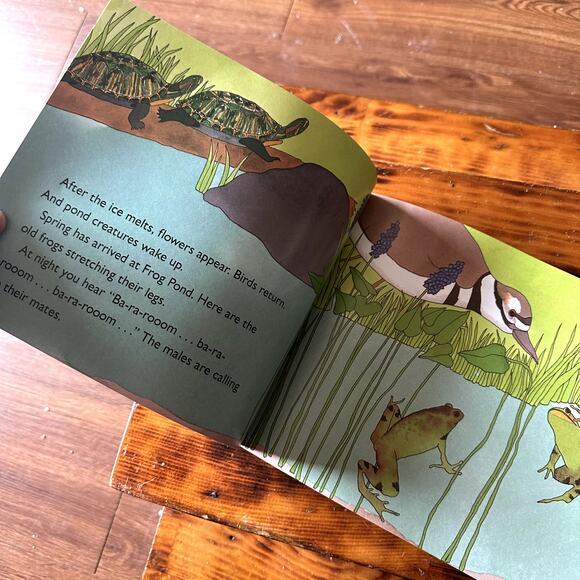 Vintage 1994 From Tadpole To Frog Let's Read And Find Out Science Paperback Book - Picture 4 of 8